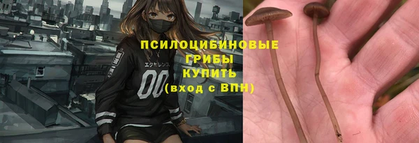 МДПВ Горняк