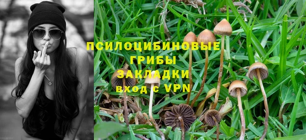 соль ск Вяземский
