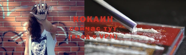 прущие грибы Горнозаводск