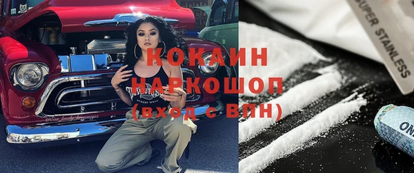 прущие грибы Горнозаводск