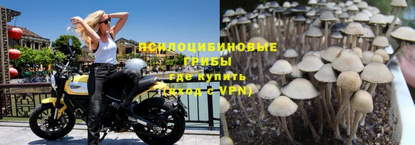 соль ск Вяземский