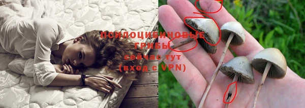 соль ск Вяземский