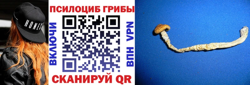 Галлюциногенные грибы мицелий  Инза 